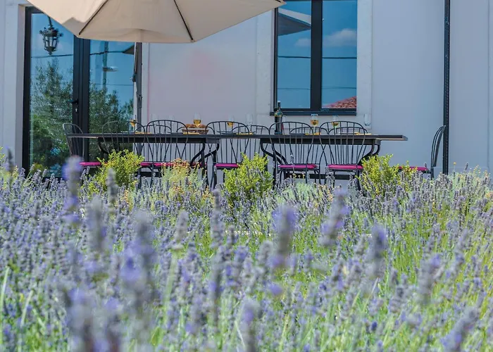 Pet Friendly In * 特孔