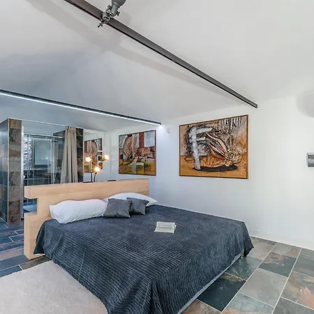 Pet Friendly In טקון