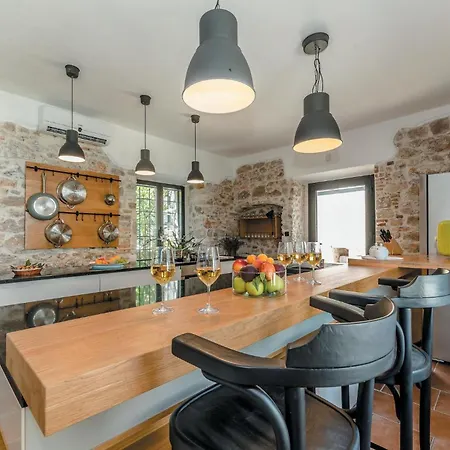 Pet Friendly In טקון