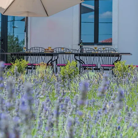 Pet Friendly In * טקון