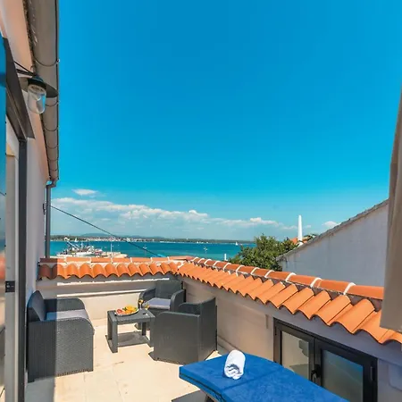 Pet Friendly In * 特孔