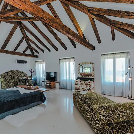 Pet Friendly In 特孔