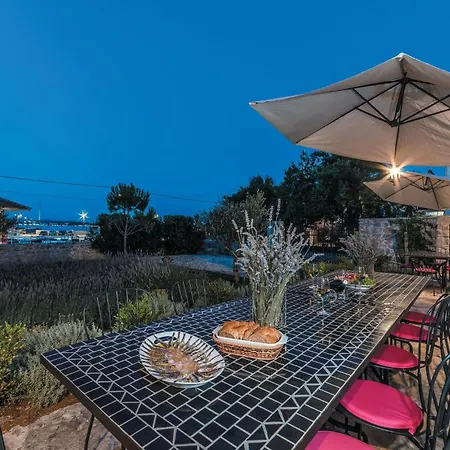 度假居 Pet Friendly In 特孔