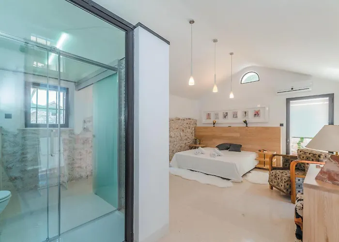 Pet Friendly In * 트콘