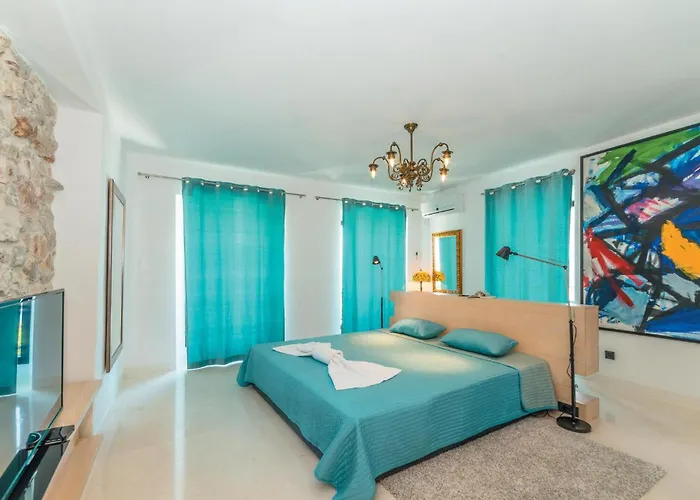 Pet Friendly In 펜션 트콘