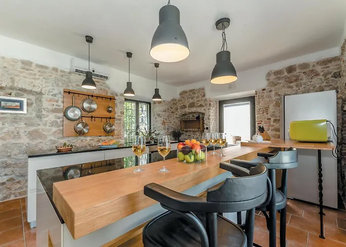 Pet Friendly In 트콘