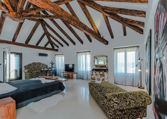 Pet Friendly In 트콘