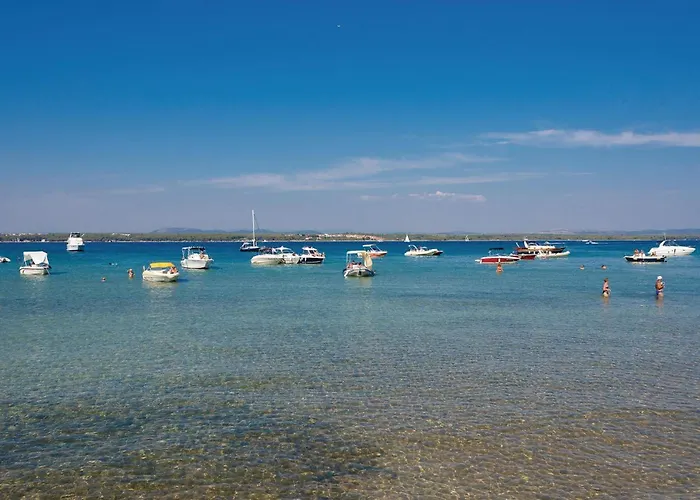 펜션 Pet Friendly In *