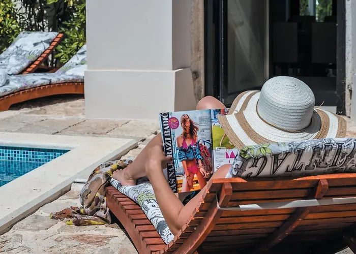 Pet Friendly In 트콘