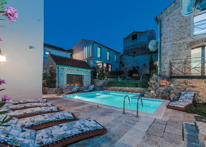 Pet Friendly In 트콘